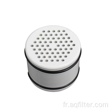 Système de filtration de douche en ligne Hot Sale